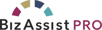 BizAssist Pro
